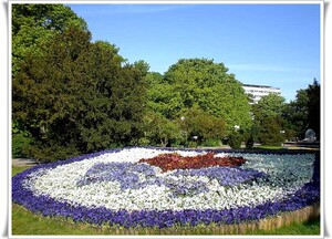 Blumenrabatte in Kolberg